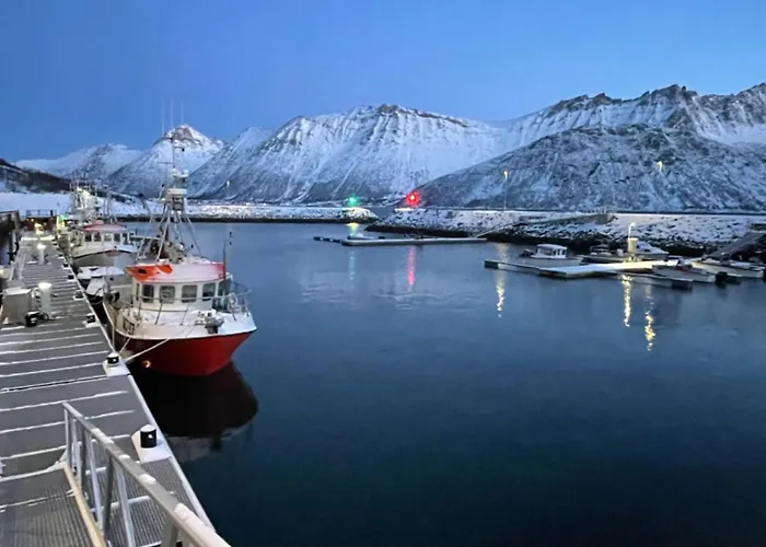 בית הארחה The View Of The Mountains 3*