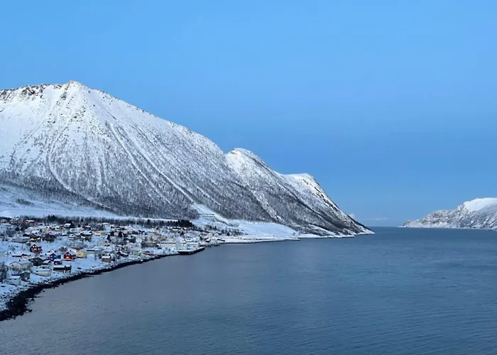 The View Of The Mountains 3* Senja